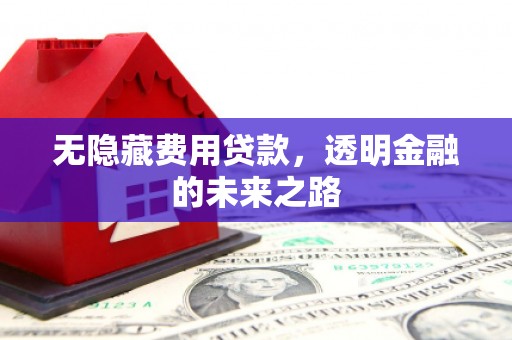 吉州无隐藏费用贷款，透明金融的未来之路