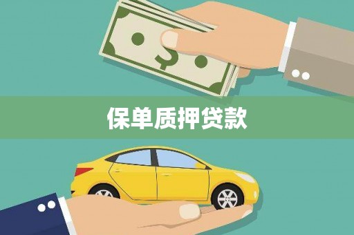 吉州保单质押贷款