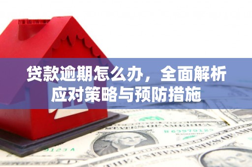 吉州贷款逾期怎么办，全面解析应对策略与预防措施