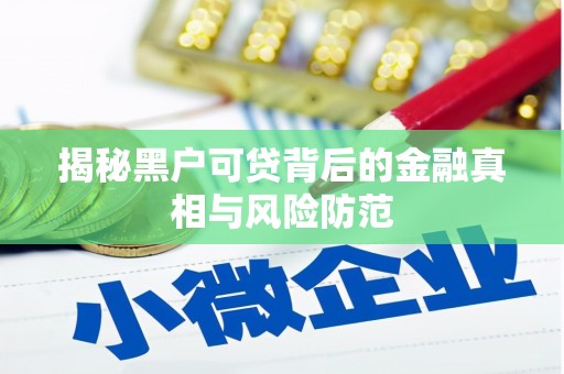 吉州揭秘黑户可贷背后的金融真相与风险防范