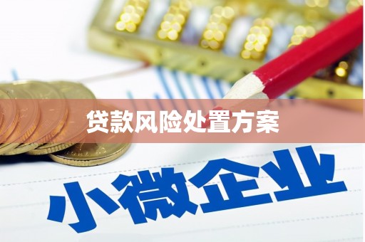 吉州贷款风险处置方案