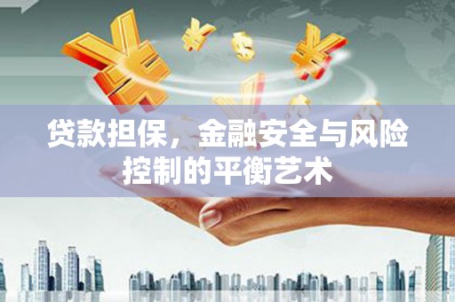 吉州贷款担保，金融安全与风险控制的平衡艺术