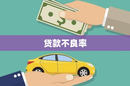 吉州贷款不良率