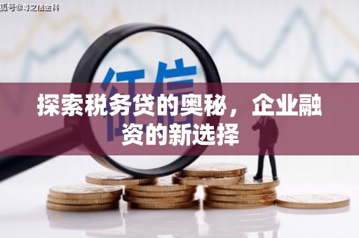 吉州探索税务贷的奥秘，企业融资的新选择