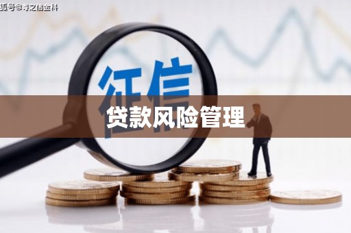 吉州贷款风险管理