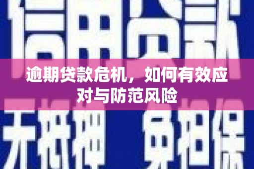 吉州逾期贷款危机，如何有效应对与防范风险