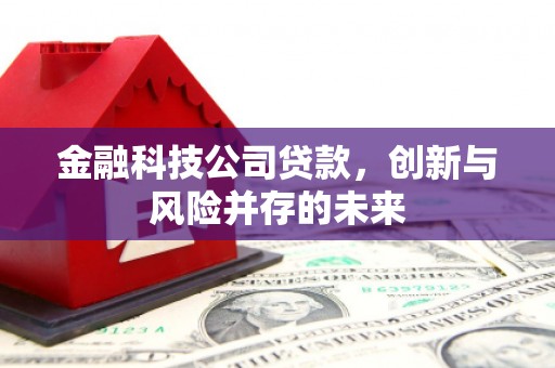 吉州金融科技公司贷款，创新与风险并存的未来