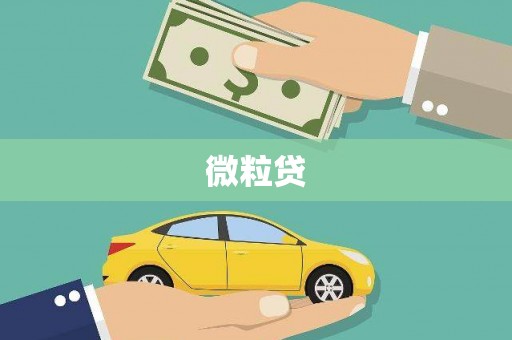 吉州微粒贷