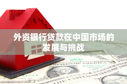 吉州外资银行贷款在中国市场的发展与挑战