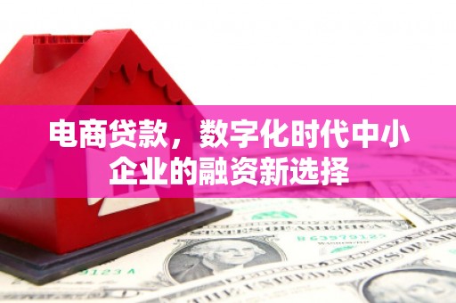 吉州电商贷款，数字化时代中小企业的融资新选择