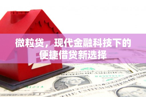 吉州微粒贷，现代金融科技下的便捷借贷新选择