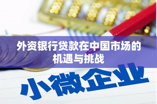 吉州外资银行贷款在中国市场的机遇与挑战