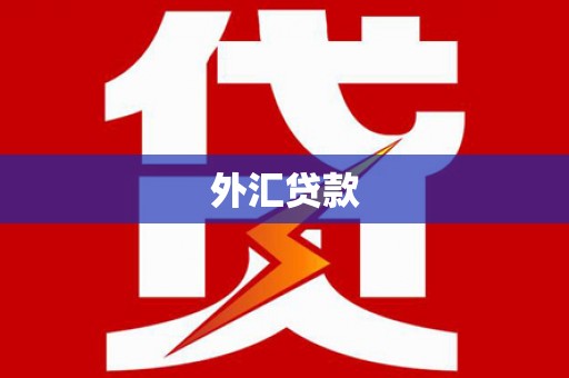 吉州外汇贷款