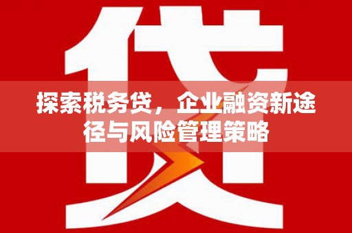 吉州探索税务贷，企业融资新途径与风险管理策略