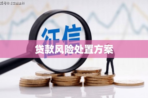吉州贷款风险处置方案