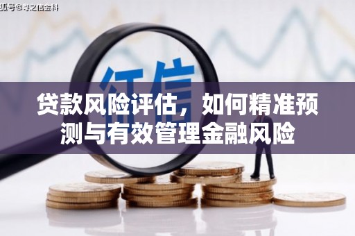 吉州贷款风险评估，如何精准预测与有效管理金融风险
