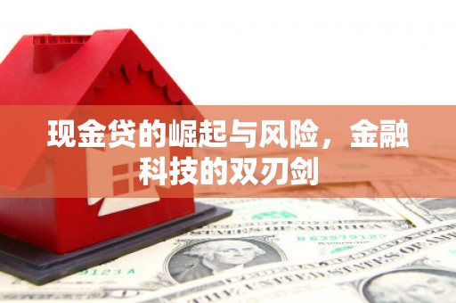 吉州现金贷的崛起与风险，金融科技的双刃剑