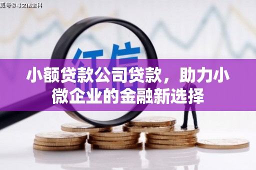 吉州小额贷款公司贷款，助力小微企业的金融新选择
