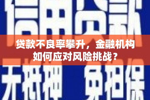 吉州贷款不良率攀升，金融机构如何应对风险挑战？