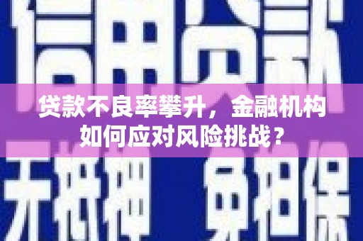 吉州贷款不良率攀升，金融机构如何应对风险挑战？