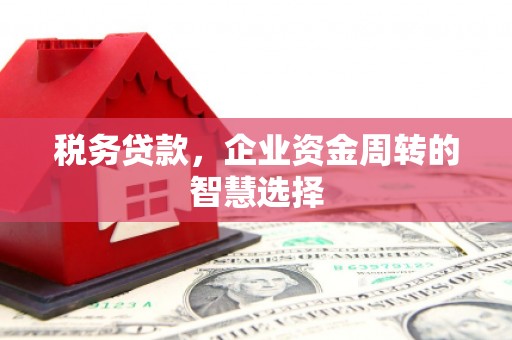 吉州税务贷款，企业资金周转的智慧选择
