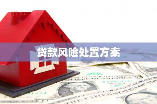 吉州贷款风险处置方案