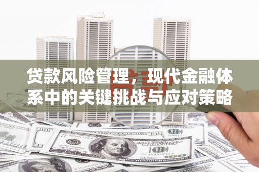 吉州贷款风险管理，现代金融体系中的关键挑战与应对策略