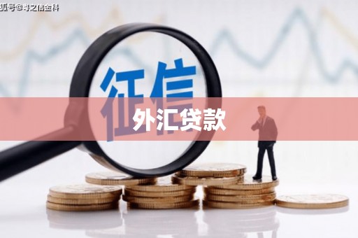 吉州外汇贷款