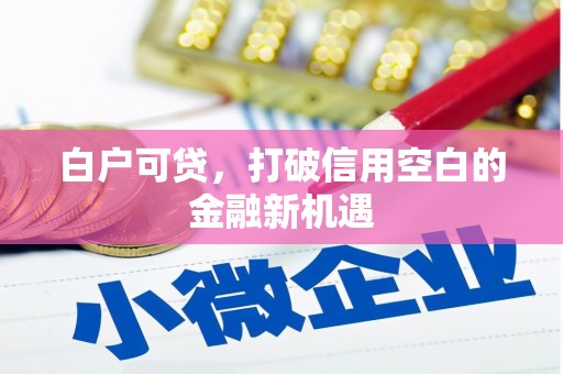 吉州白户可贷，打破信用空白的金融新机遇