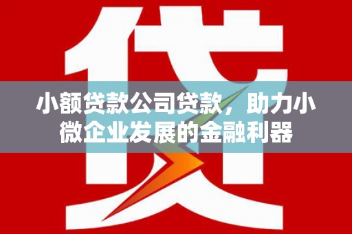 吉州小额贷款公司贷款，助力小微企业发展的金融利器