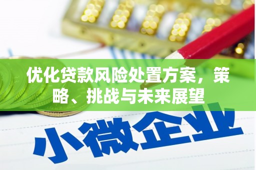 吉州优化贷款风险处置方案，策略、挑战与未来展望