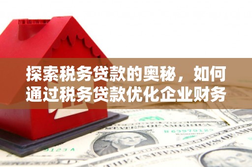 吉州探索税务贷款的奥秘，如何通过税务贷款优化企业财务