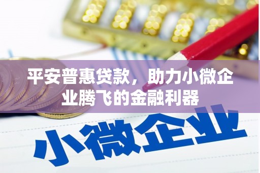 吉州平安普惠贷款，助力小微企业腾飞的金融利器