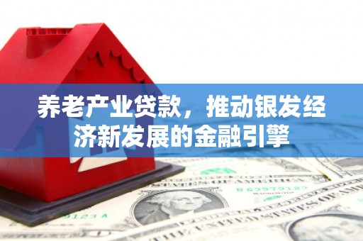 吉州养老产业贷款，推动银发经济新发展的金融引擎