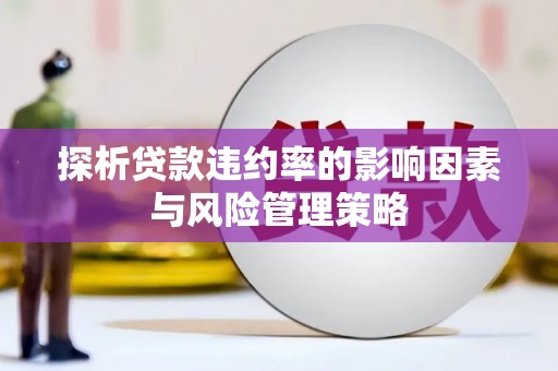 吉州探析贷款违约率的影响因素与风险管理策略