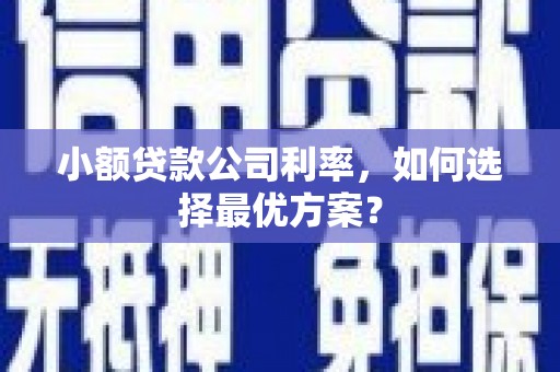 吉州小额贷款公司利率，如何选择最优方案？
