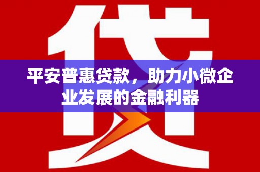 吉州平安普惠贷款，助力小微企业发展的金融利器