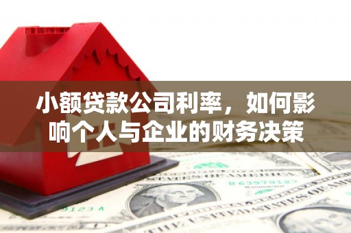 吉州小额贷款公司利率，如何影响个人与企业的财务决策