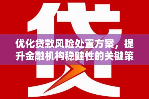 吉州优化贷款风险处置方案，提升金融机构稳健性的关键策略