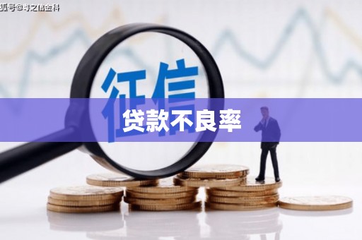 吉州贷款不良率