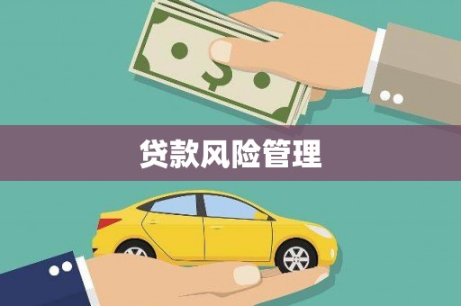 吉州贷款风险管理