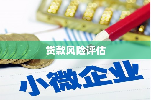 吉州贷款风险评估