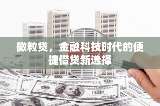 吉州微粒贷，金融科技时代的便捷借贷新选择