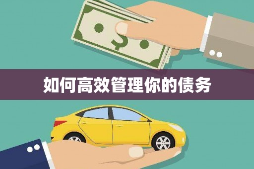 吉州如何高效管理你的债务