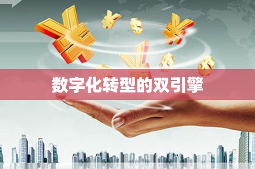 吉州数字化转型的双引擎
