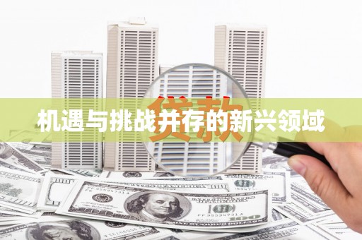 吉州机遇与挑战并存的新兴领域